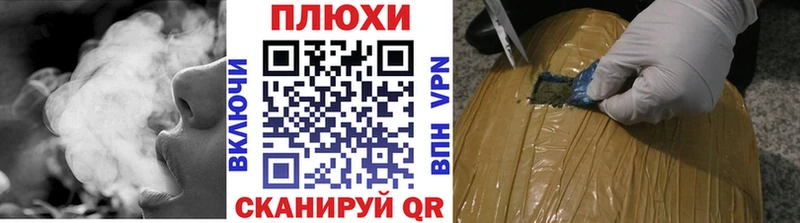 дарнет шоп  Торжок  ГАШ Premium 