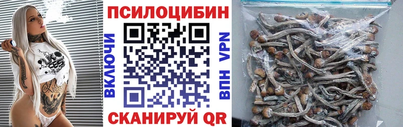 hydra как зайти Торжок Псилоцибиновые грибы прущие грибы
